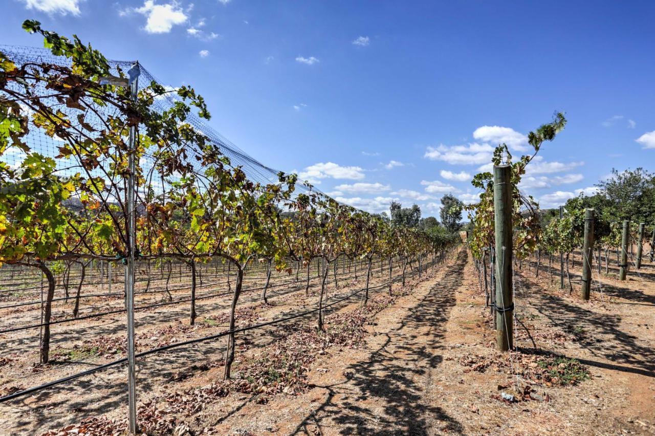 Escondido Vineyard Estate Walk To Wineries!ヴィラ エクステリア 写真
