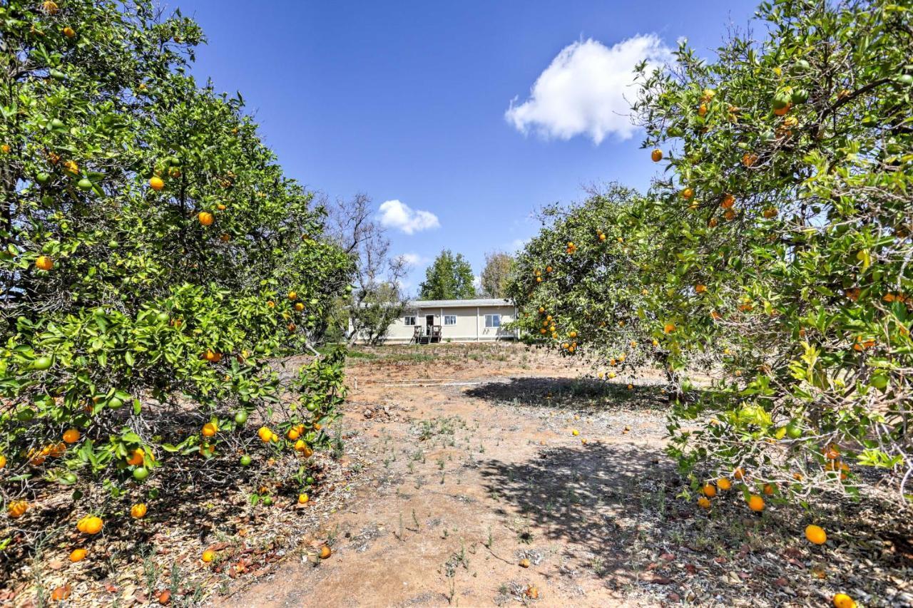 Escondido Vineyard Estate Walk To Wineries!ヴィラ エクステリア 写真